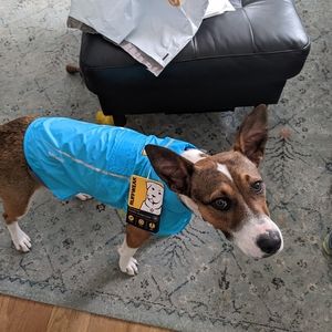 Ruffwear Windsprinter Dog coat XS